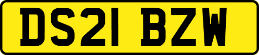DS21BZW