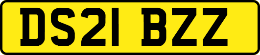 DS21BZZ