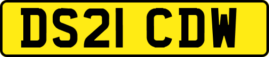 DS21CDW