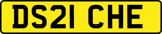 DS21CHE