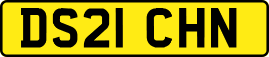 DS21CHN