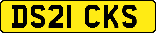 DS21CKS