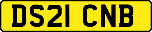 DS21CNB