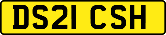 DS21CSH