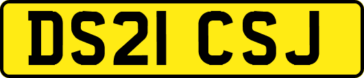 DS21CSJ