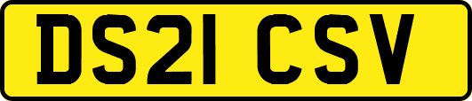 DS21CSV