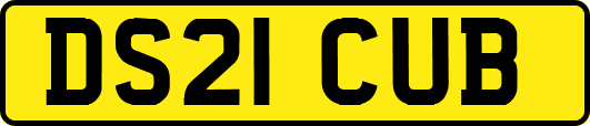 DS21CUB