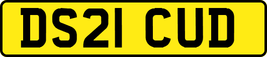 DS21CUD