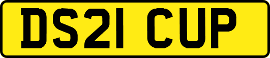 DS21CUP