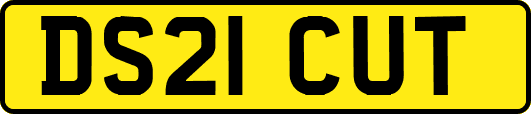 DS21CUT