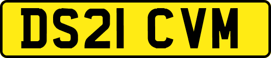 DS21CVM