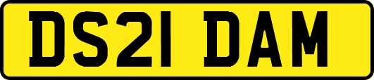 DS21DAM