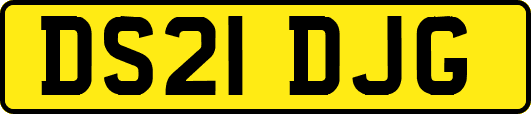 DS21DJG