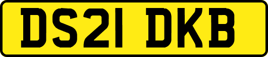 DS21DKB