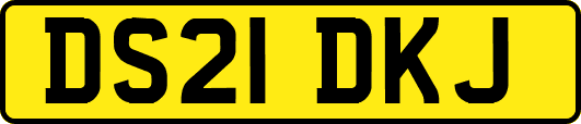 DS21DKJ