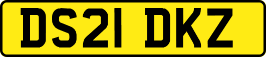 DS21DKZ