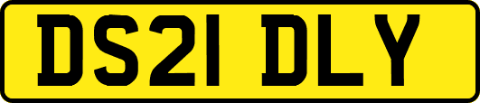 DS21DLY