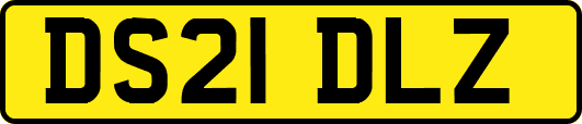 DS21DLZ