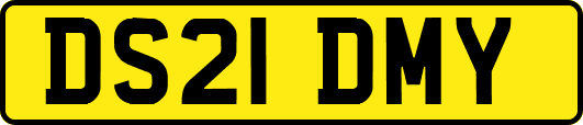 DS21DMY