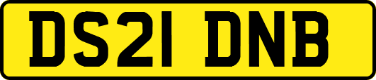 DS21DNB