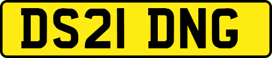 DS21DNG
