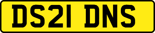 DS21DNS