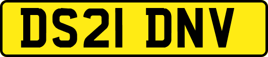 DS21DNV