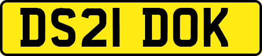 DS21DOK