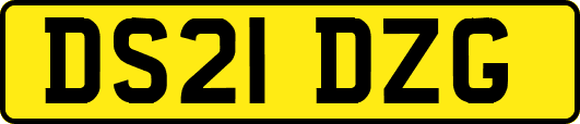 DS21DZG