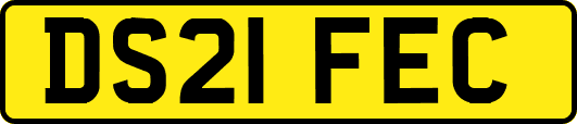 DS21FEC