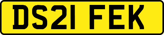 DS21FEK