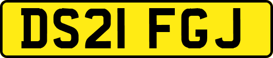 DS21FGJ