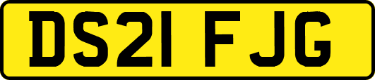 DS21FJG
