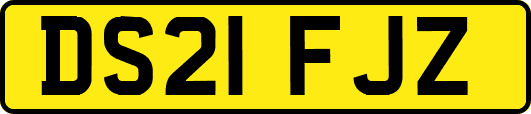 DS21FJZ