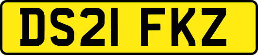 DS21FKZ