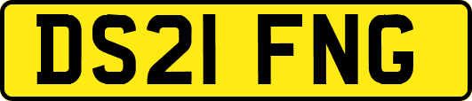 DS21FNG