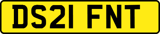 DS21FNT