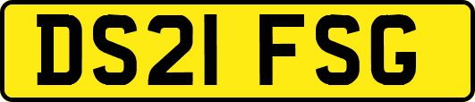 DS21FSG