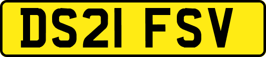 DS21FSV