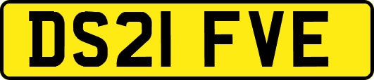 DS21FVE
