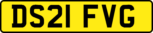 DS21FVG