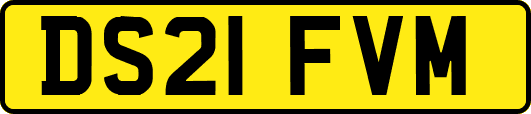 DS21FVM