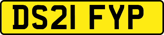 DS21FYP