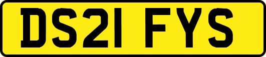 DS21FYS