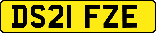 DS21FZE
