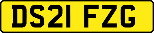 DS21FZG
