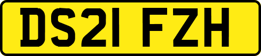 DS21FZH