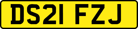 DS21FZJ