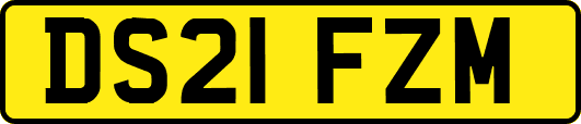 DS21FZM