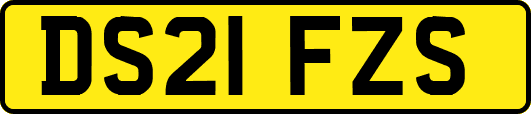 DS21FZS